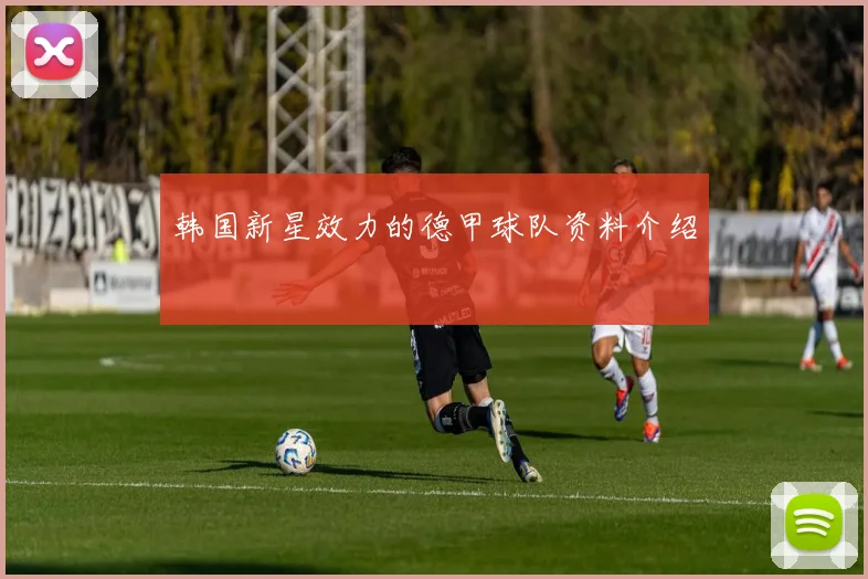 韩国新星效力的德甲球队资料介绍
