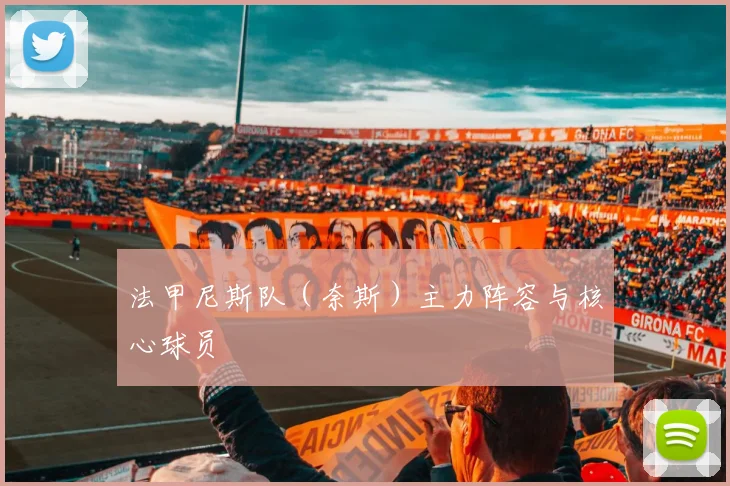 法甲尼斯队(奈斯)主力阵容与核心球员