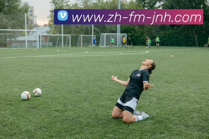 金年会体育平台生态图