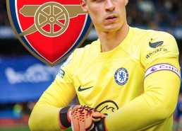 金年会-泰达阵容中曾在德甲效力的球员名单